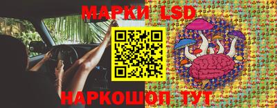spice Бийск