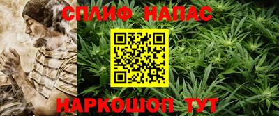 spice Бийск