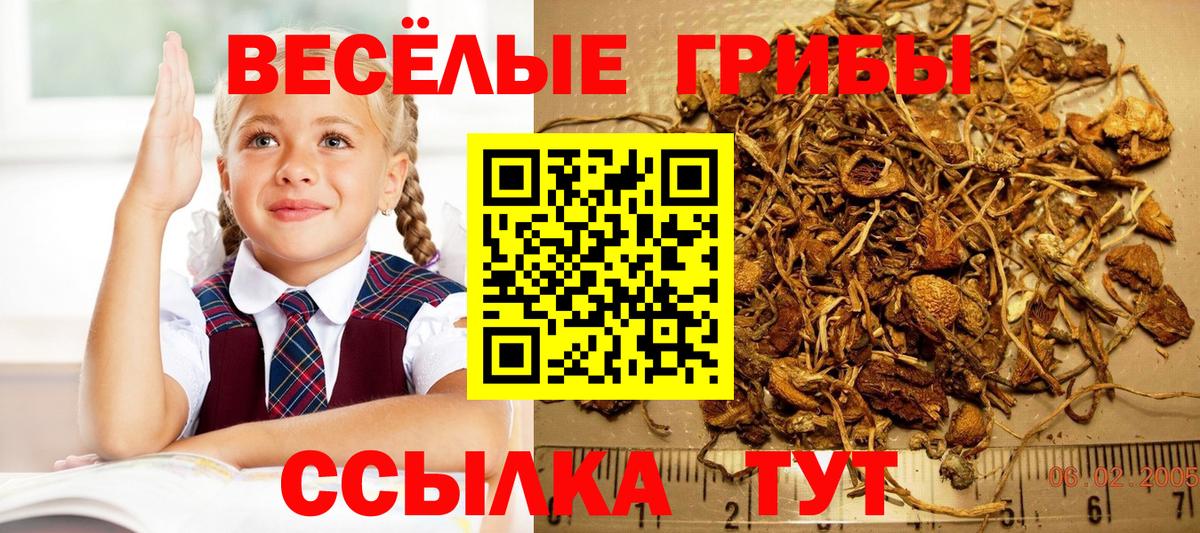 Псилоцибиновые грибы Cubensis Выкса