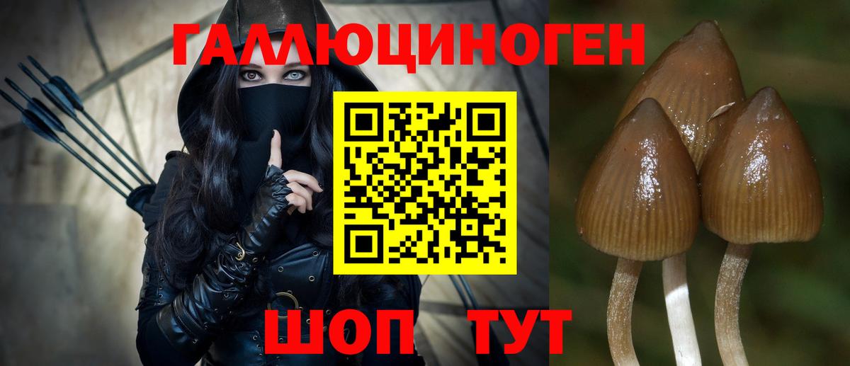 Выкса  как найти закладки  Вход с VPN  Галлюциногенные грибы Magic Shrooms  Псилоцибиновые грибы Magic Shrooms 